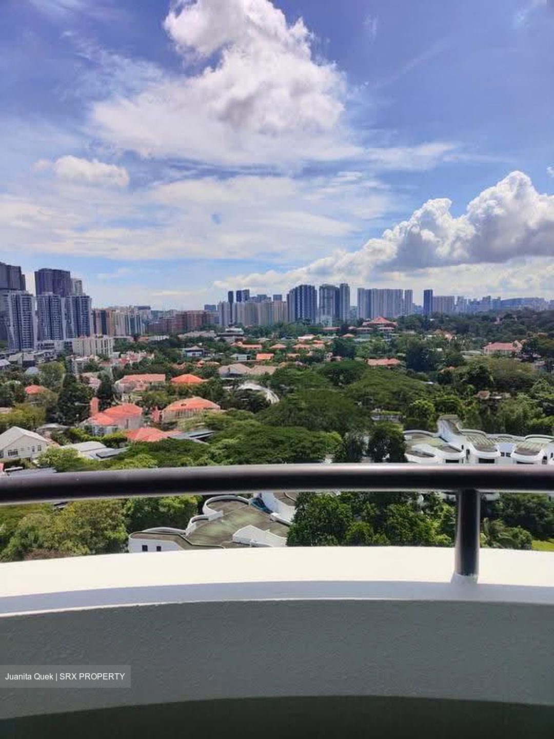 Regency Park (D10), Condominium #610255151